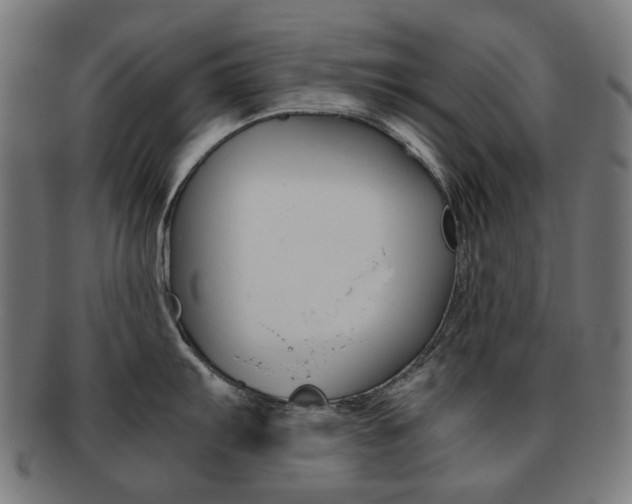 X0000092021103200709061325