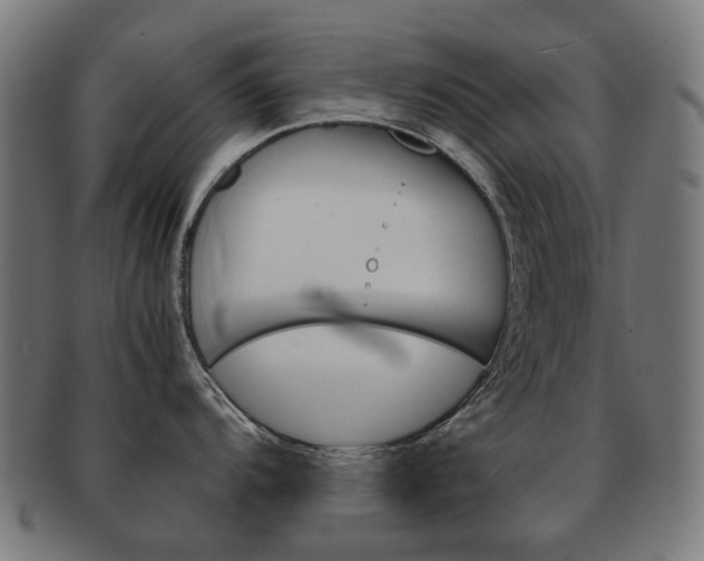 X0000092021104200709061325