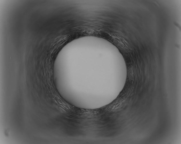 X0000092021105200709061324