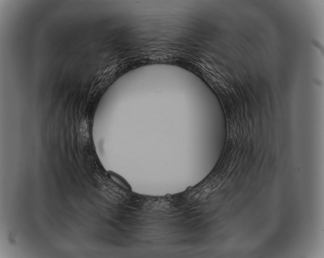 X0000092021106200709061324