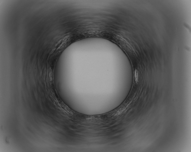 X0000092021107200709061324