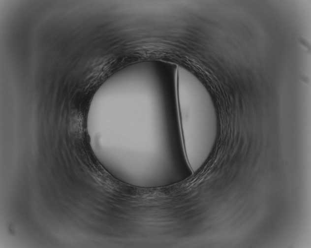 X0000092021108200709061324