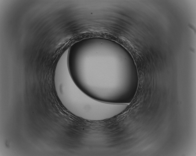 X0000092021110200709061324