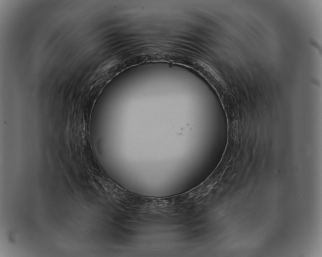 X0000092021111200709061324