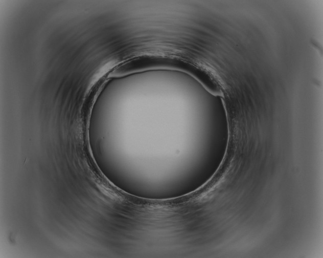 X0000092021114200709061324