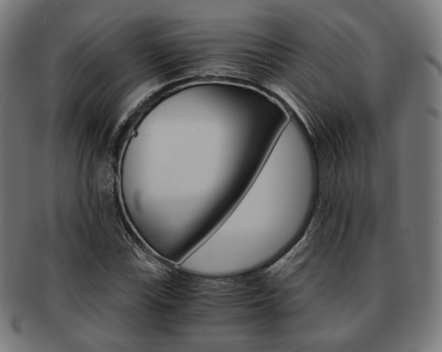 X0000092021115200709061324