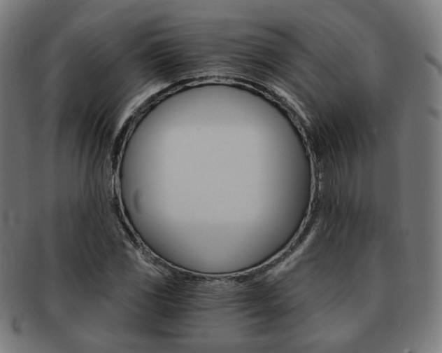 X0000092021117200709061324