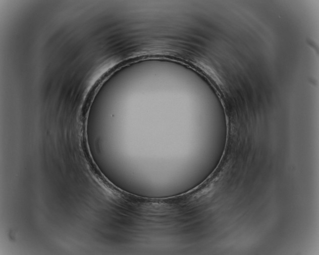 X0000092021119200709061324