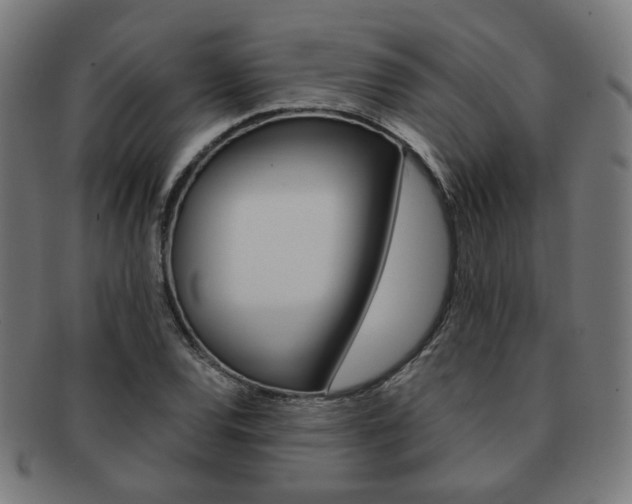 X0000092021120200709061324