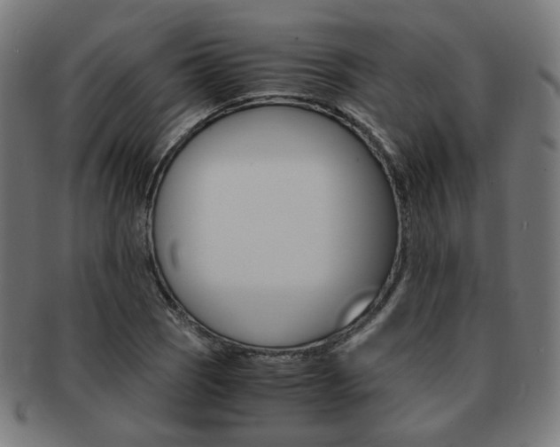 X0000092021121200709061324