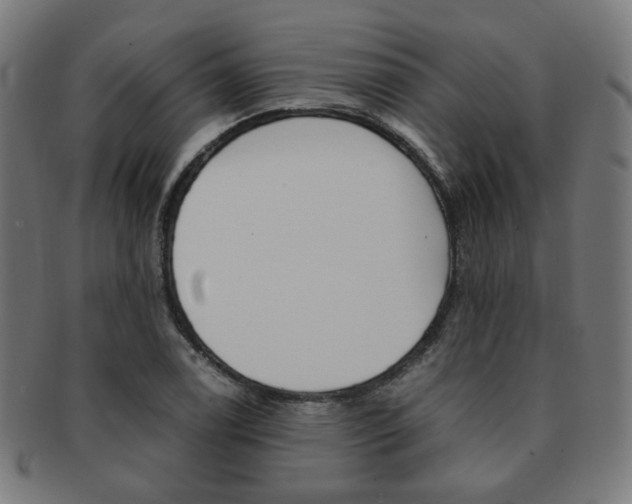 X0000092021122200709061324