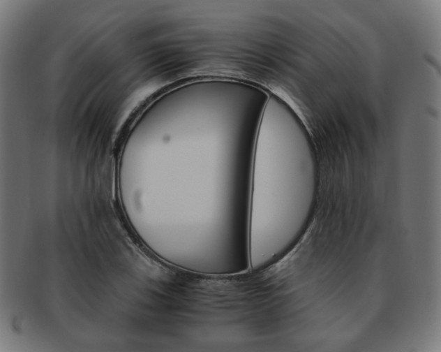 X0000092021123200709061324