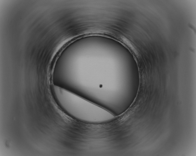X0000092021124200709061324