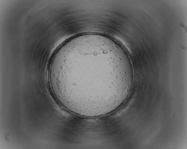 X0000092021125200709061324