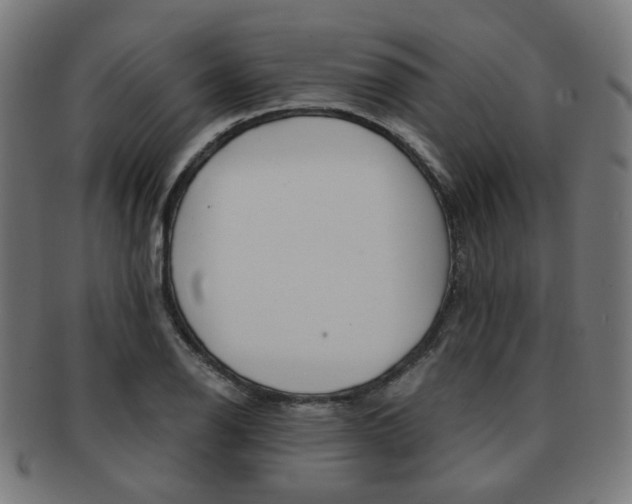 X0000092021126200709061324