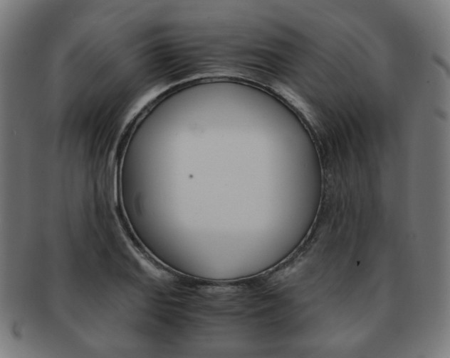 X0000092021127200709061324