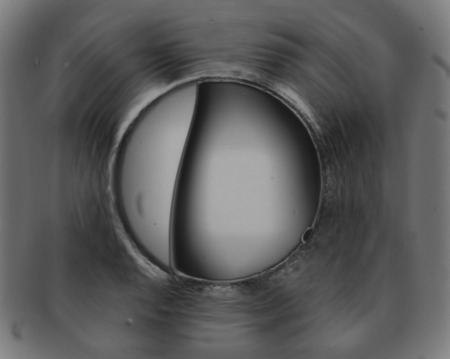 X0000092021128200709061324