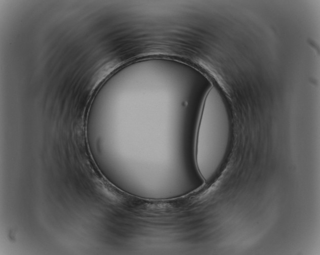 X0000092021129200709061324