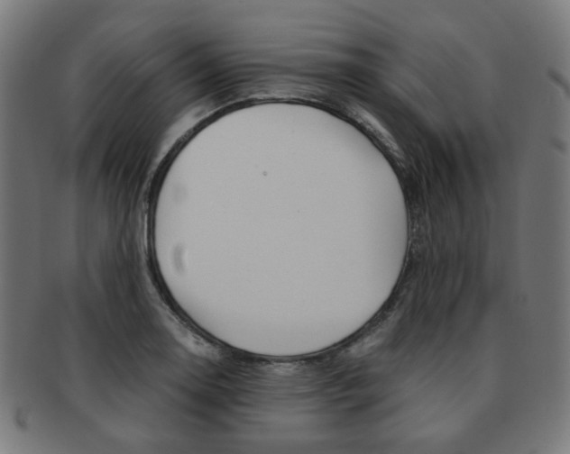 X0000092021130200709061324
