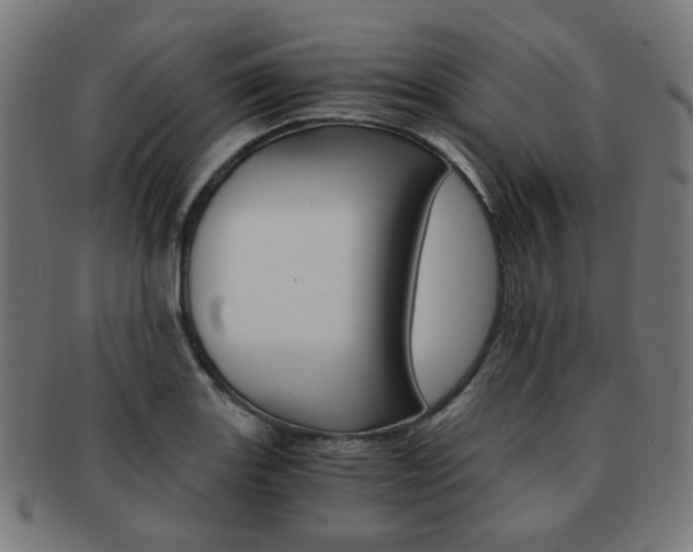 X0000092021131200709061324