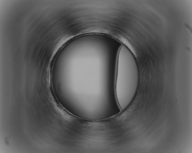 X0000092021132200709061324