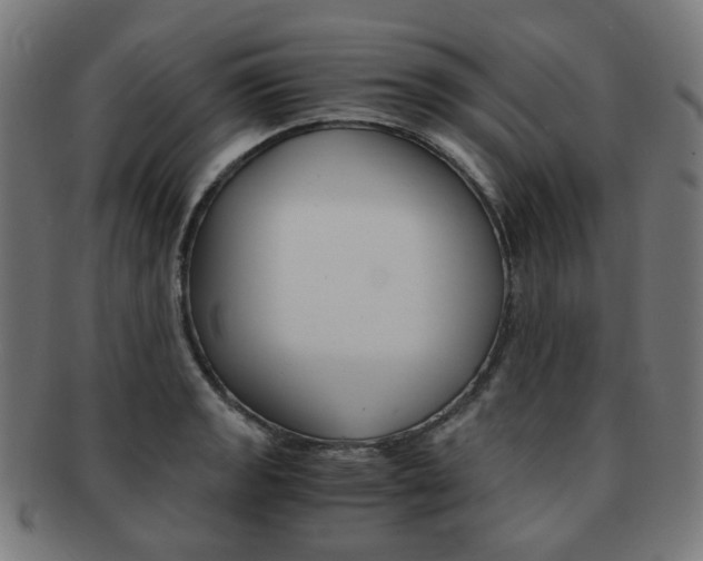 X0000092021133200709061324