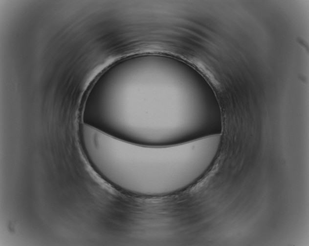 X0000092021134200709061324