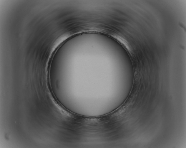 X0000092021135200709061324