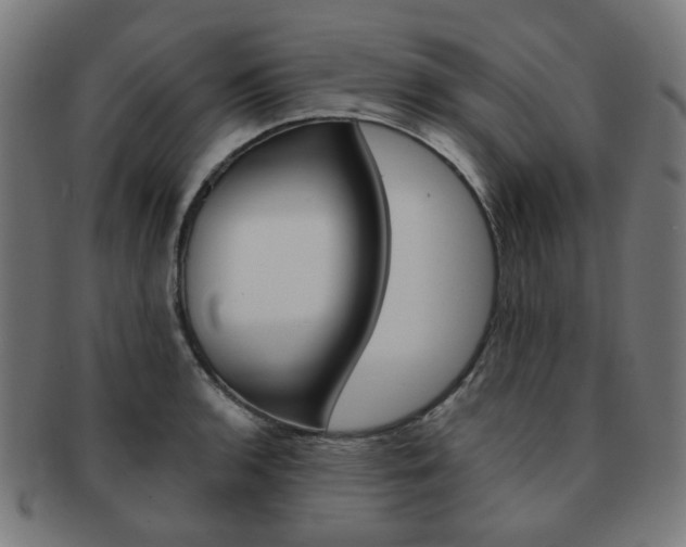 X0000092021136200709061324