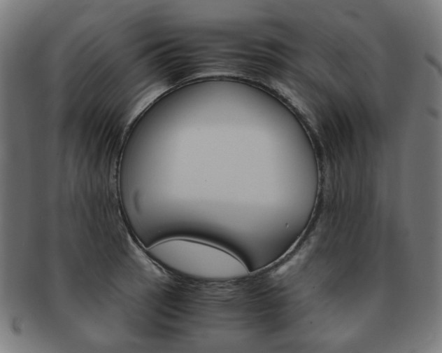 X0000092021137200709061324