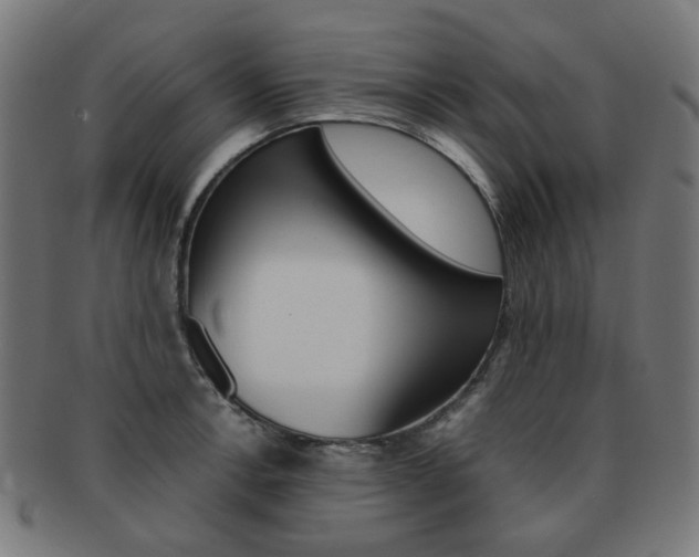 X0000092021138200709061324
