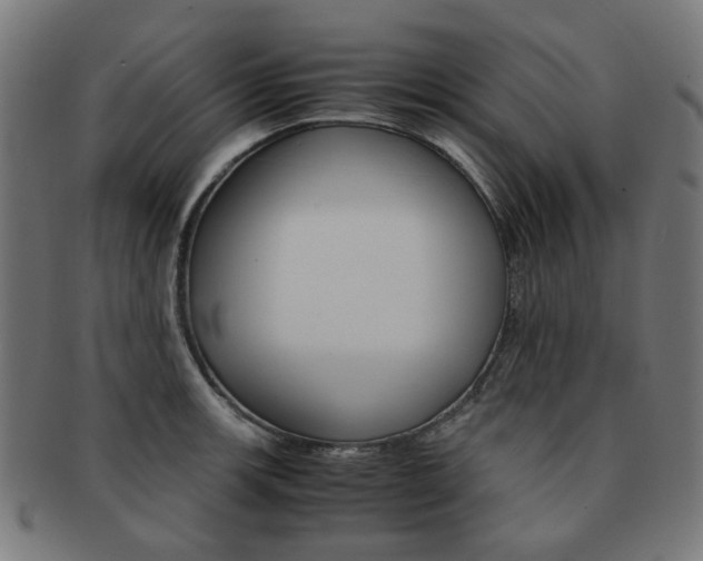X0000092021139200709061324