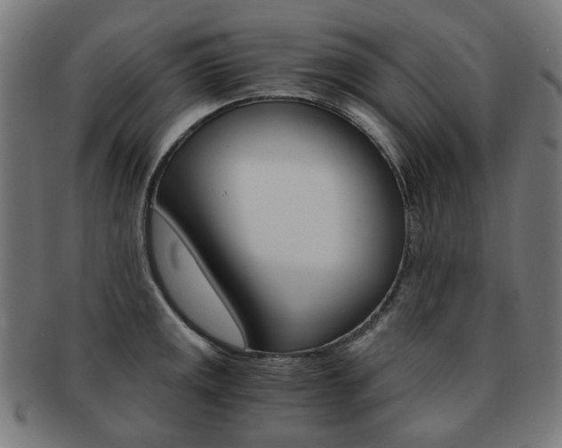 X0000092021141200709061324
