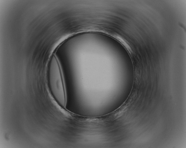X0000092021142200709061324