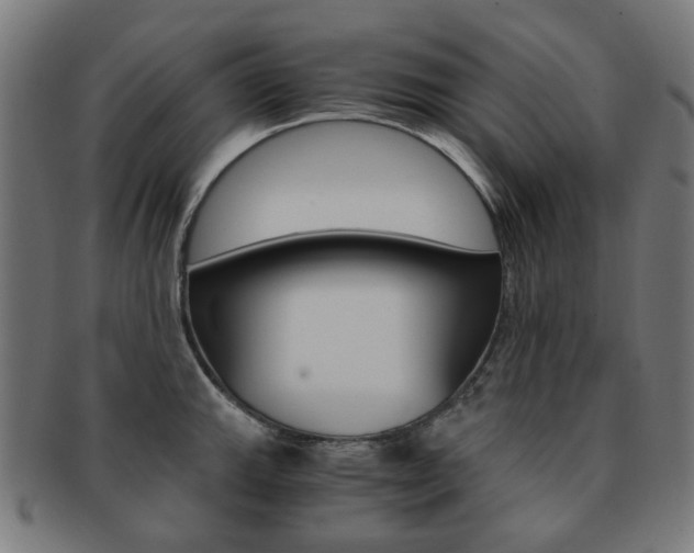 X0000092021143200709061325