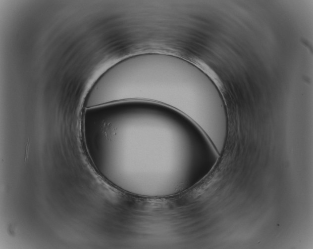 X0000092021144200709061325