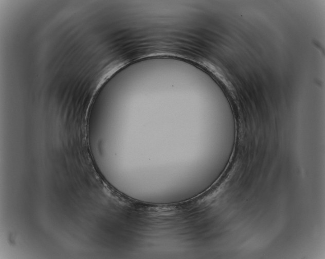 X0000092021145200709061325
