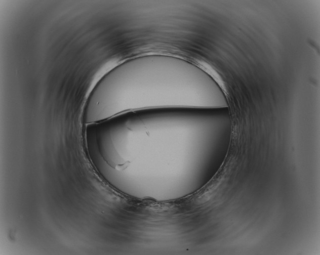 X0000092021146200709061325