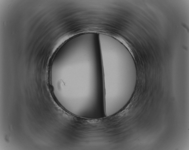 X0000092021147200709061325