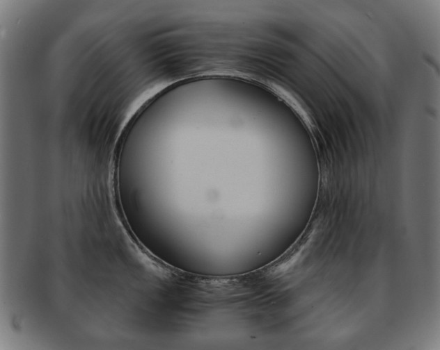 X0000092021149200709061325