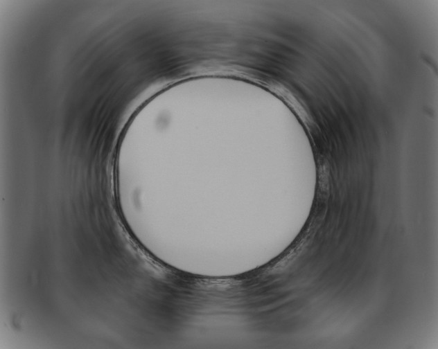 X0000092021150200709061325