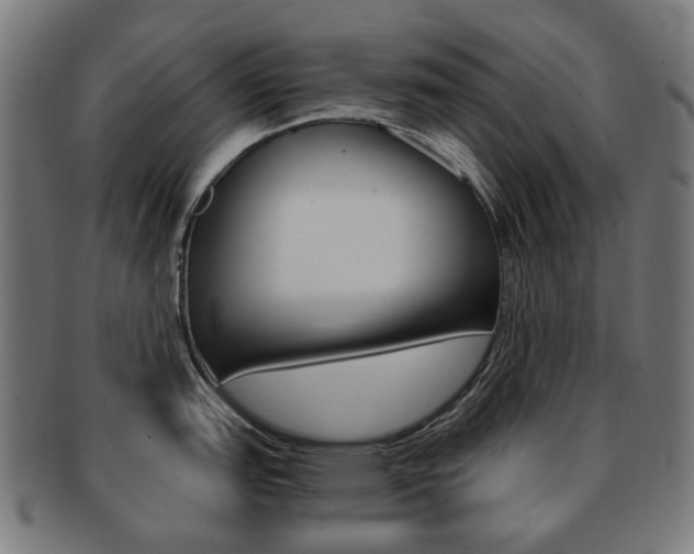 X0000092021151200709061325