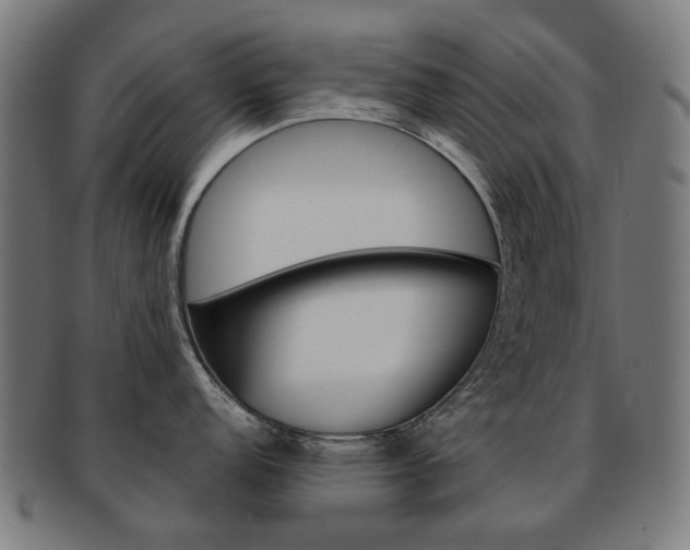 X0000092021152200709061325