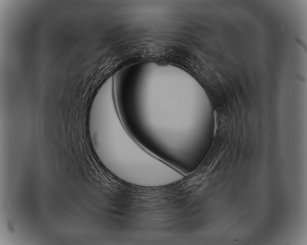 X0000092021153200709061324