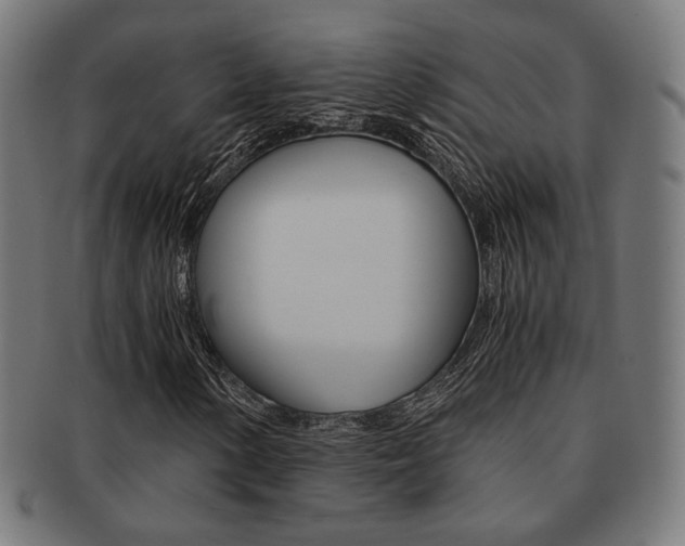 X0000092021154200709061324
