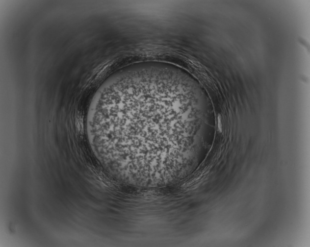 X0000092021155200709061324