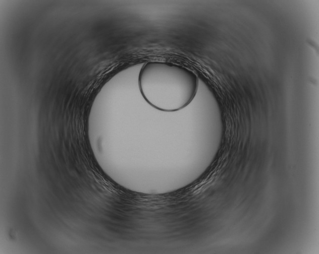 X0000092021156200709061324