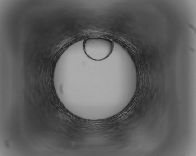 X0000092021157200709061324