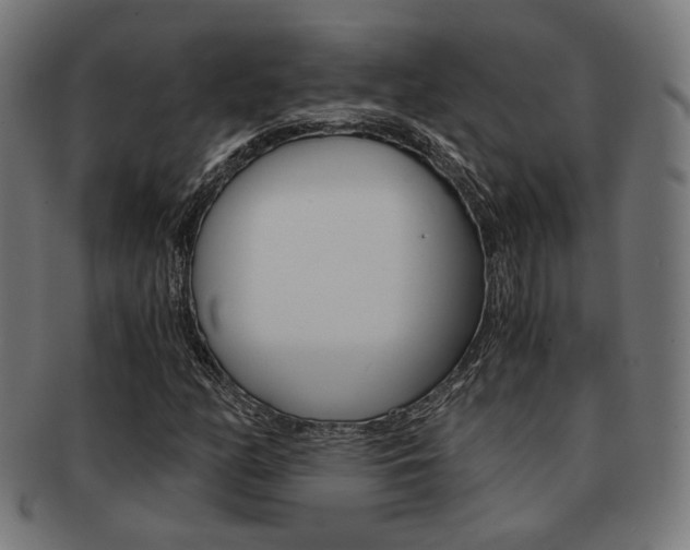 X0000092021158200709061324