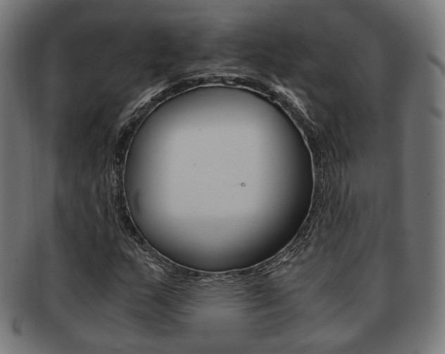 X0000092021159200709061324